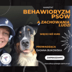 Wpływ zachowania ludzi na zachowanie psów