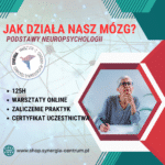 Jak działa nasz mózg - podstawy neuropsychologii